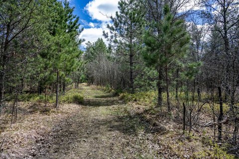 Buildable Recreational Land Parcel