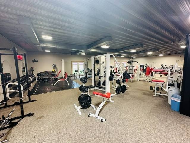 Picture 16