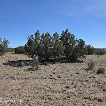 LAND - Ash Fork, AZ