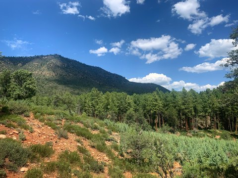 Land, Pine, AZ