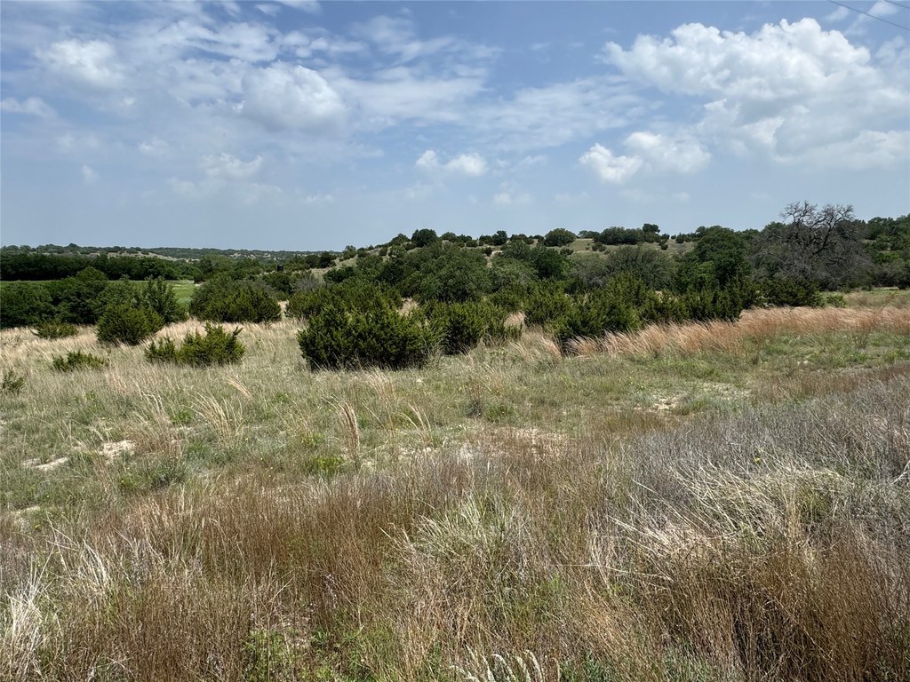 Picture 27
