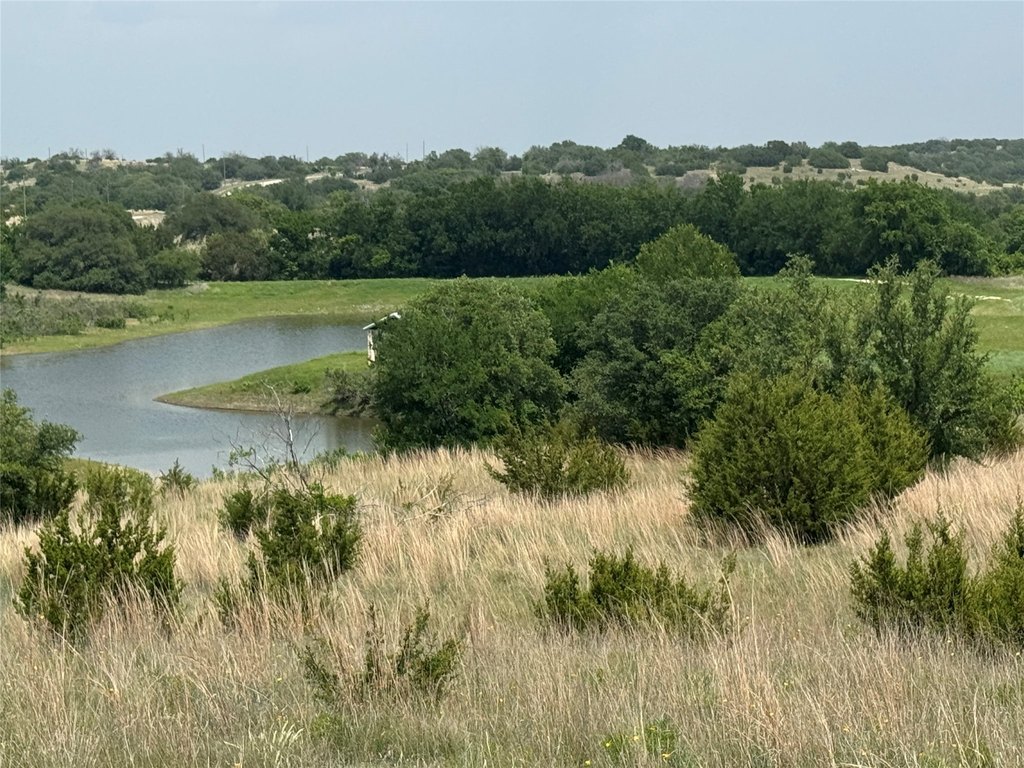 Picture 28