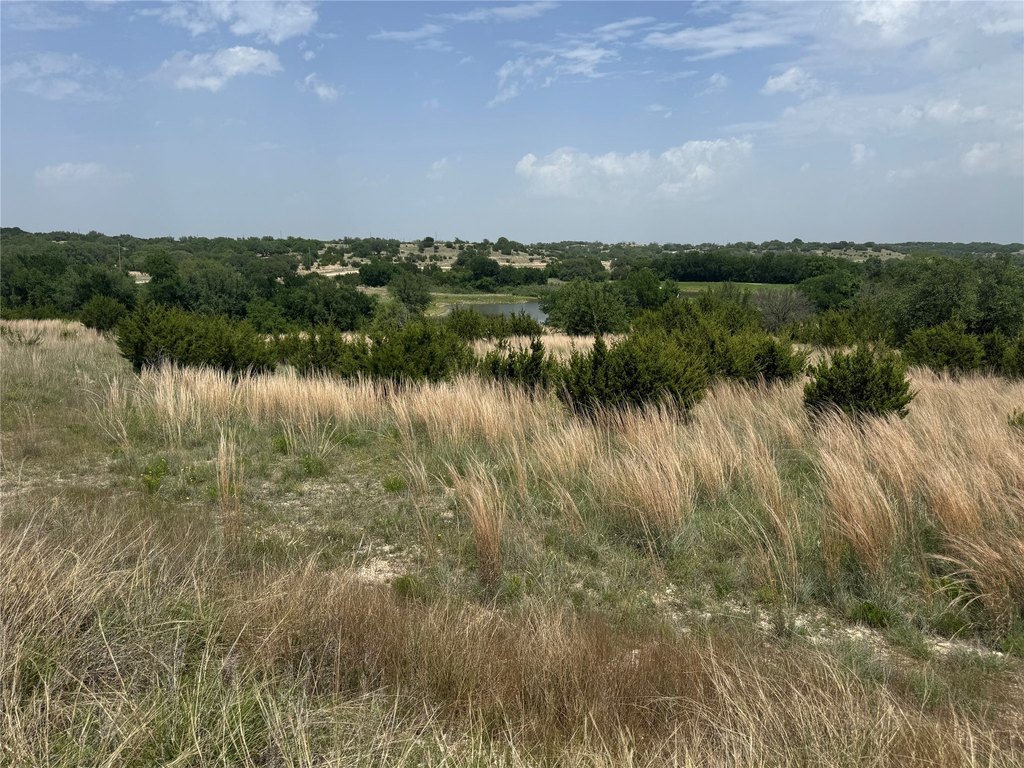 Picture 30