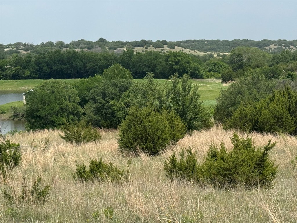 Picture 29