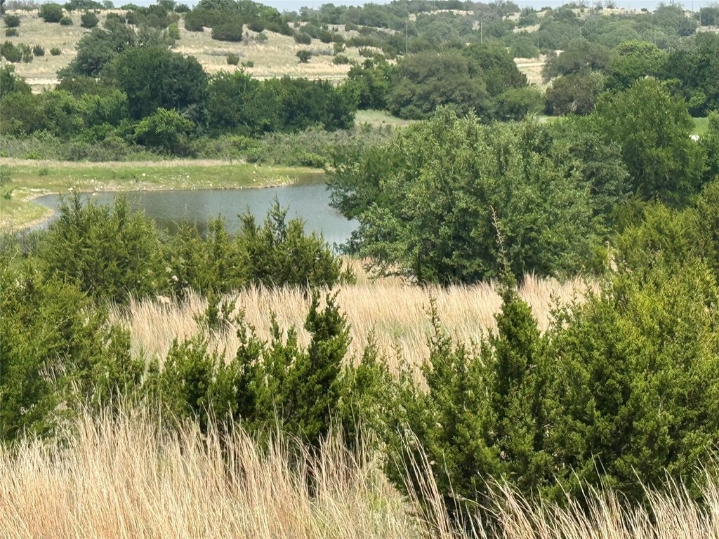 Picture 31