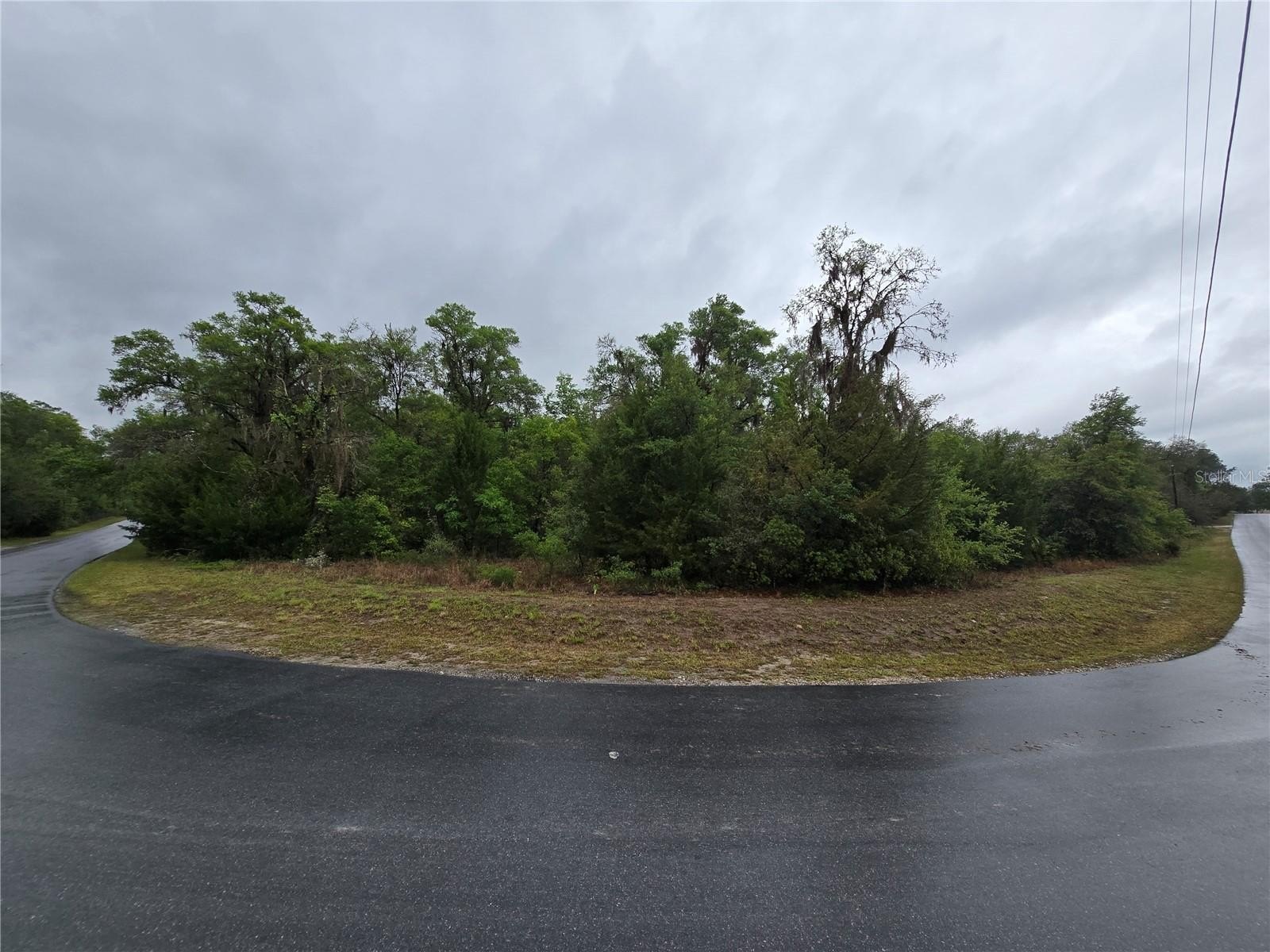 Equestrian-Friendly Land Near Rainbow River