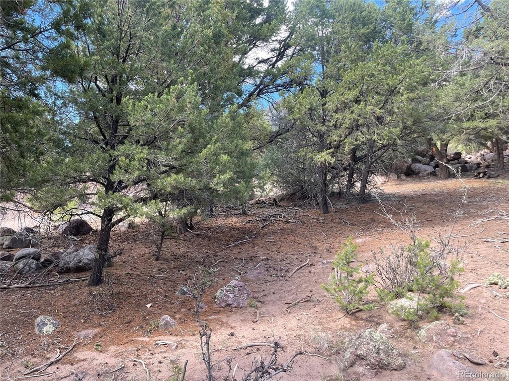 Picture 18