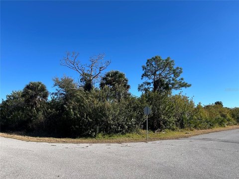 Oversized Corner Home Lot