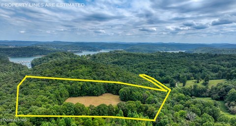 Lots & Acreage, LaFollette, TN