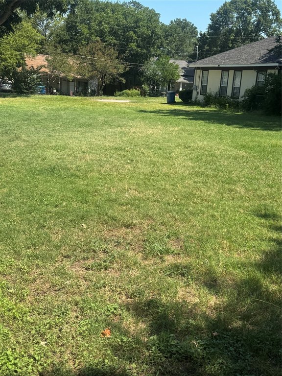 Picture 6