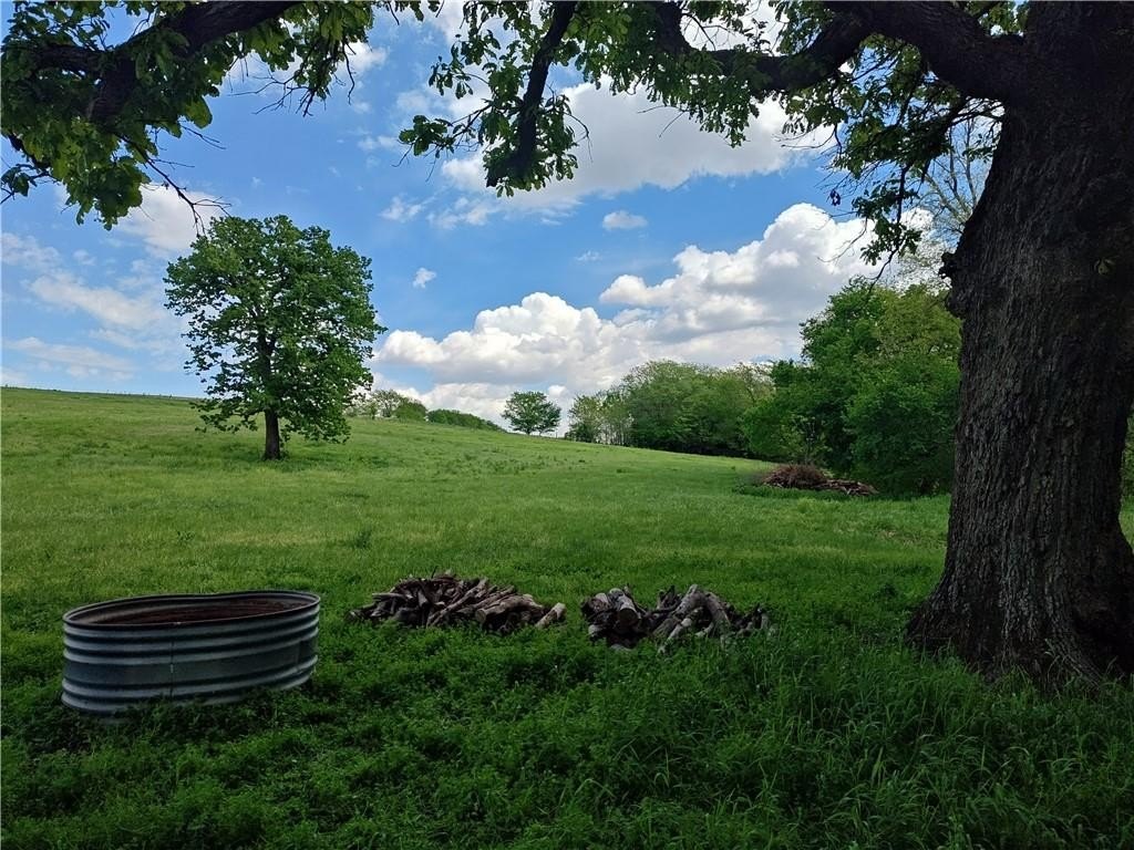 Picture 16