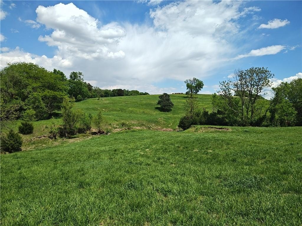 Picture 20