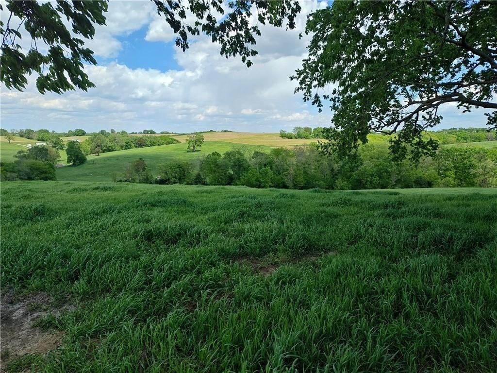 Picture 21