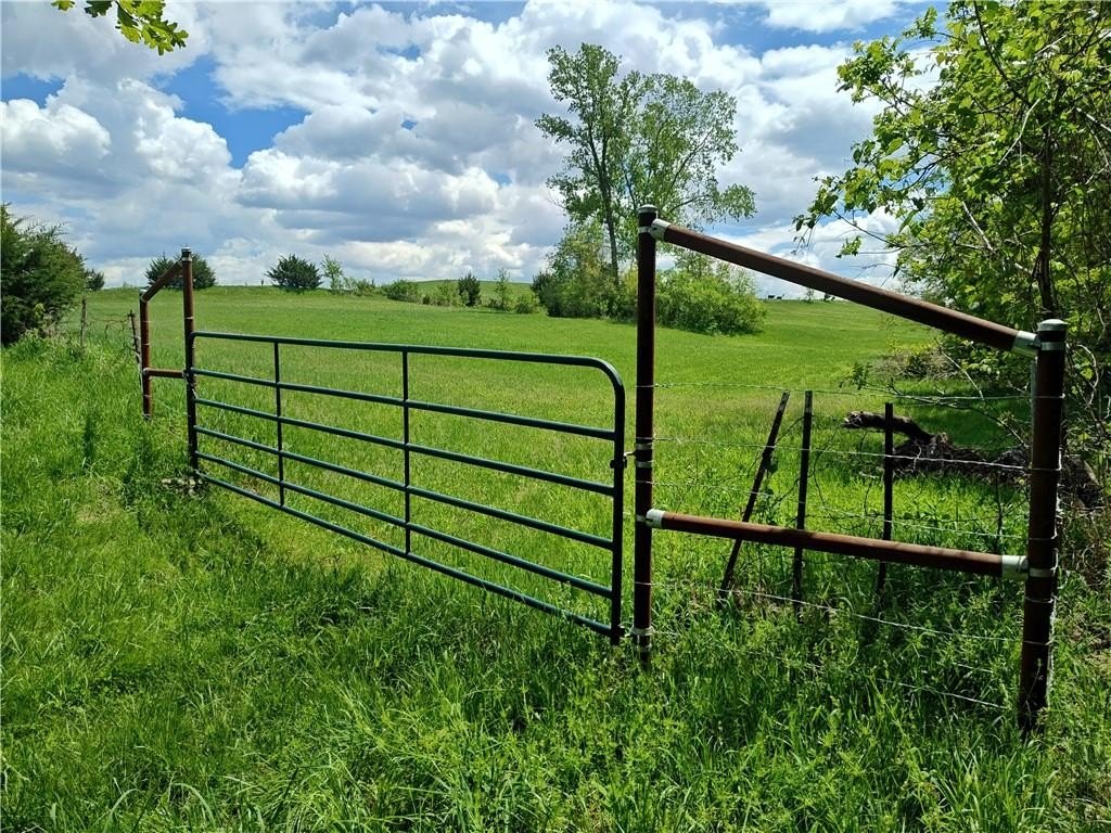 Picture 17