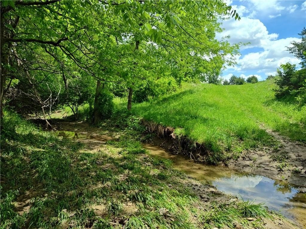 Picture 14