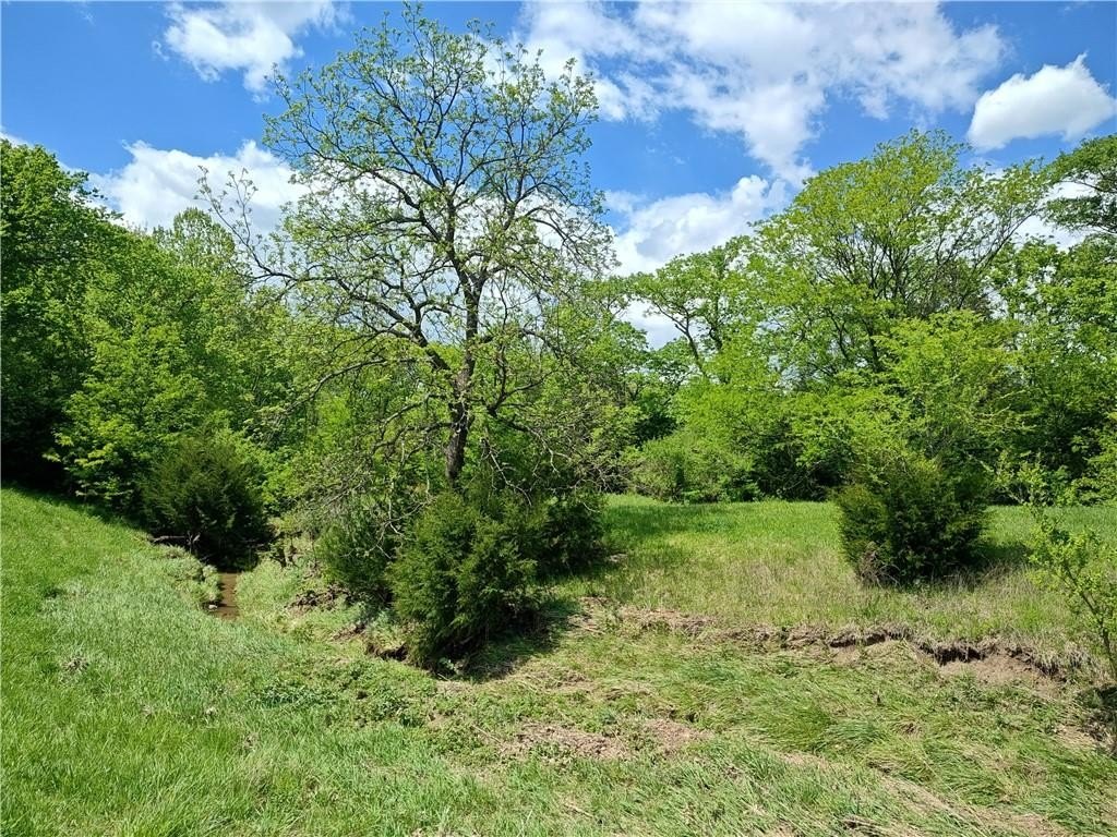 Picture 19