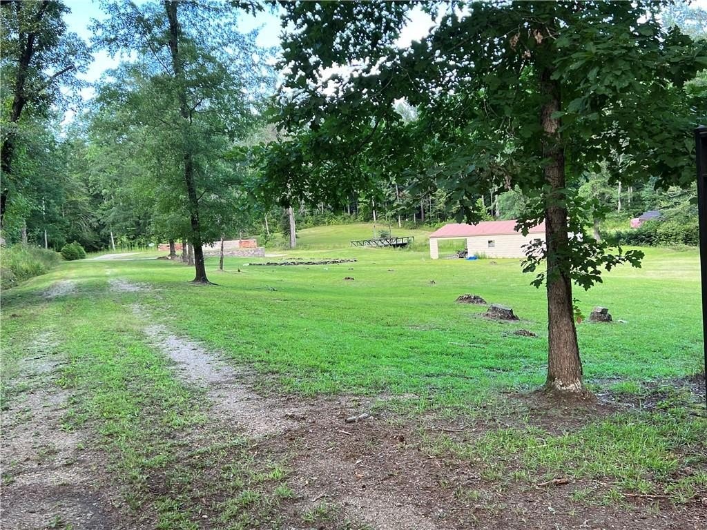 Picture 6