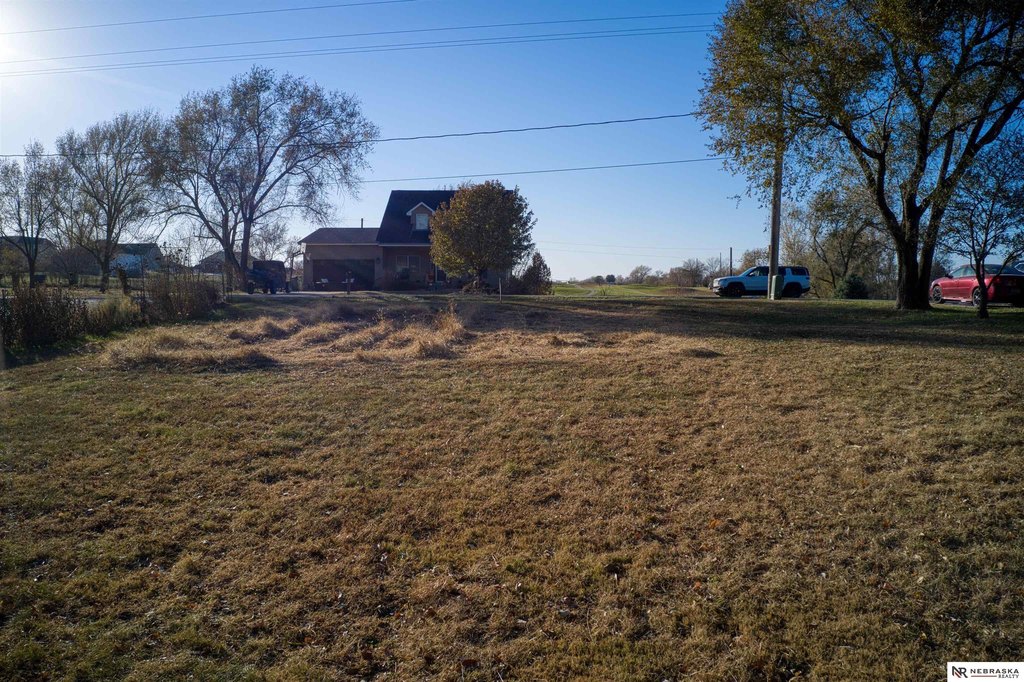 Picture 14