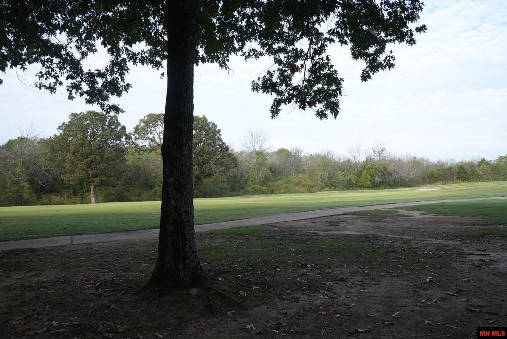 Picture 13