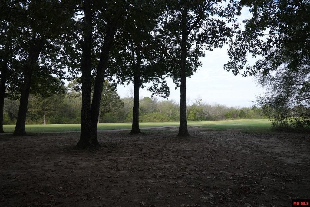 Picture 12