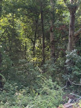 LAND - Honea Path, SC