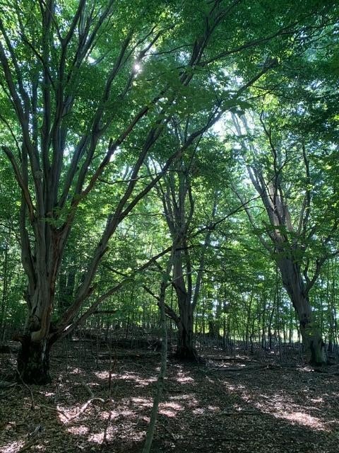 Picture 3