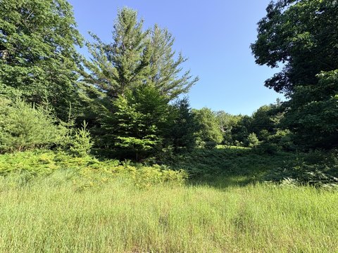LAND - Manistee, MI