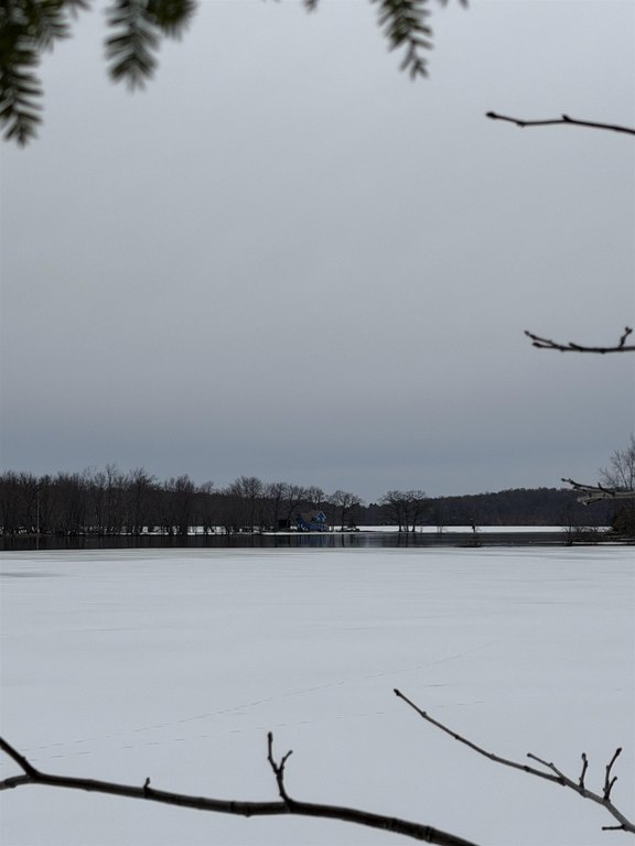 Picture 5