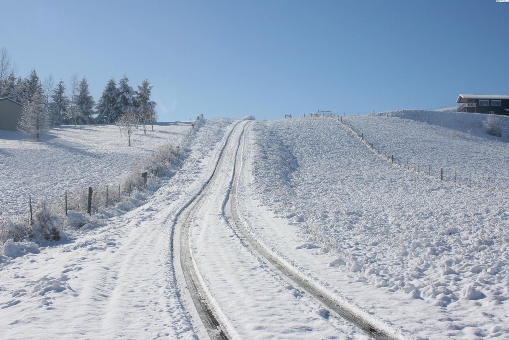 Picture 6