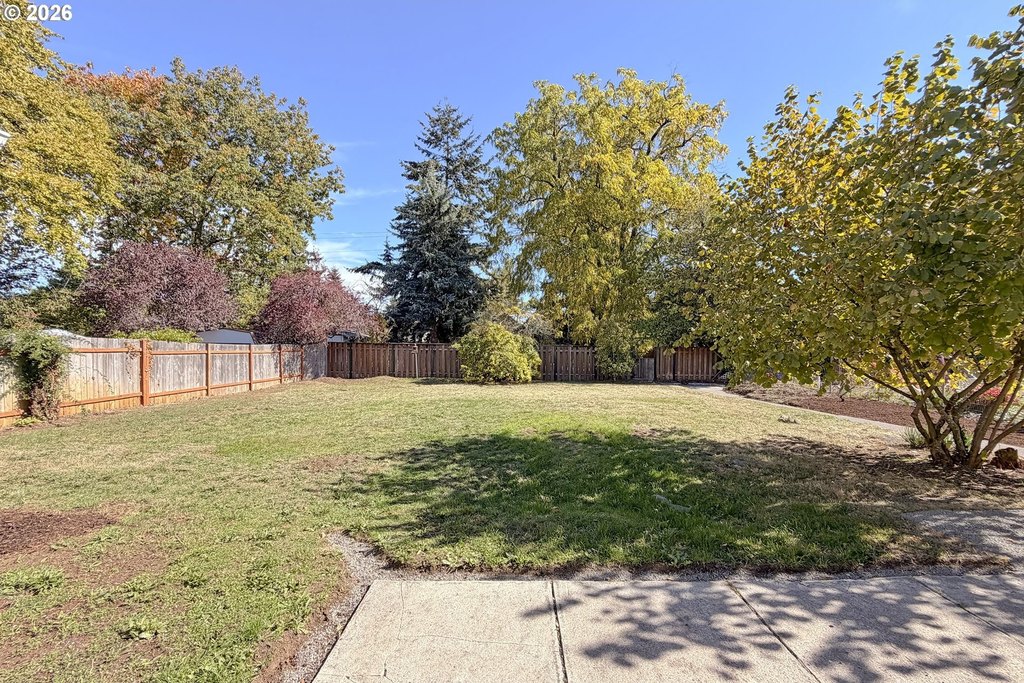 Picture 32