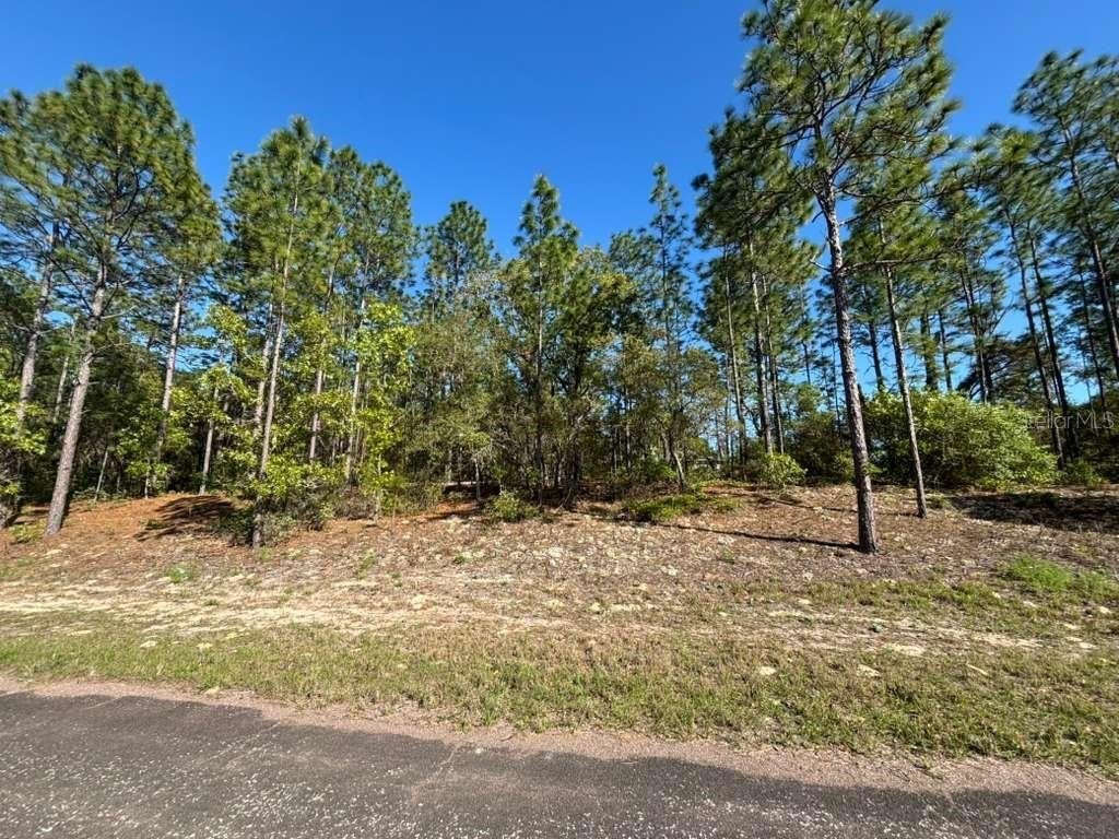 Undeveloped Lot in Citrus Springs