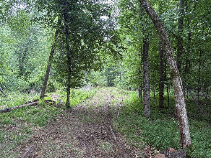 Picture 25
