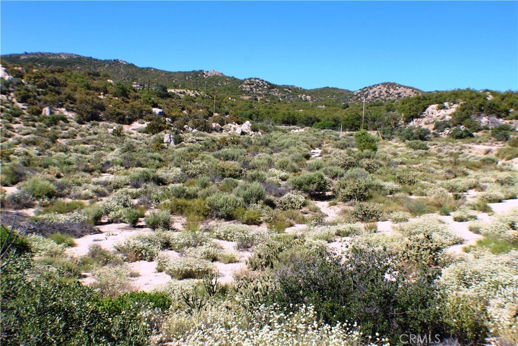 Picture 17