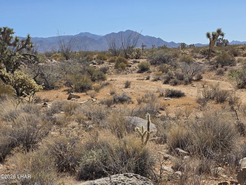 Land, Yucca, AZ