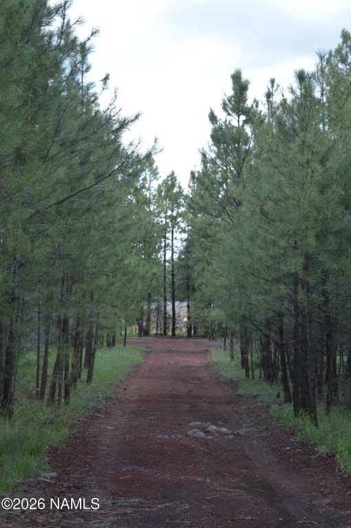 Picture 8