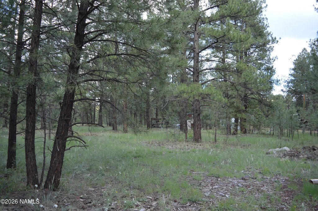 Picture 3