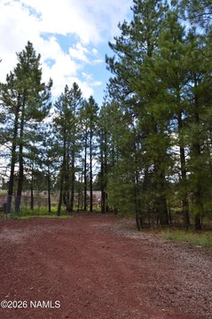 Land, Parks, AZ