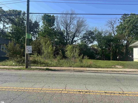 Laurens SC Mixed-Use Lot