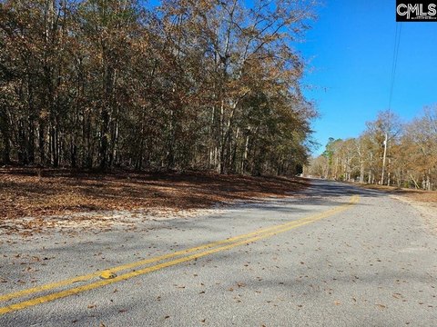 LOTS AND ACREAGE, NEESES, SC