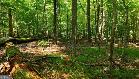 LAND - Lilburn, GA