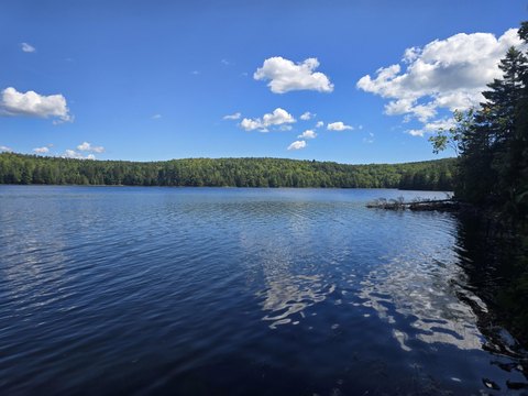 Waterfront Land on Howard Lake