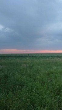 Shallowater, TX Acreage Available