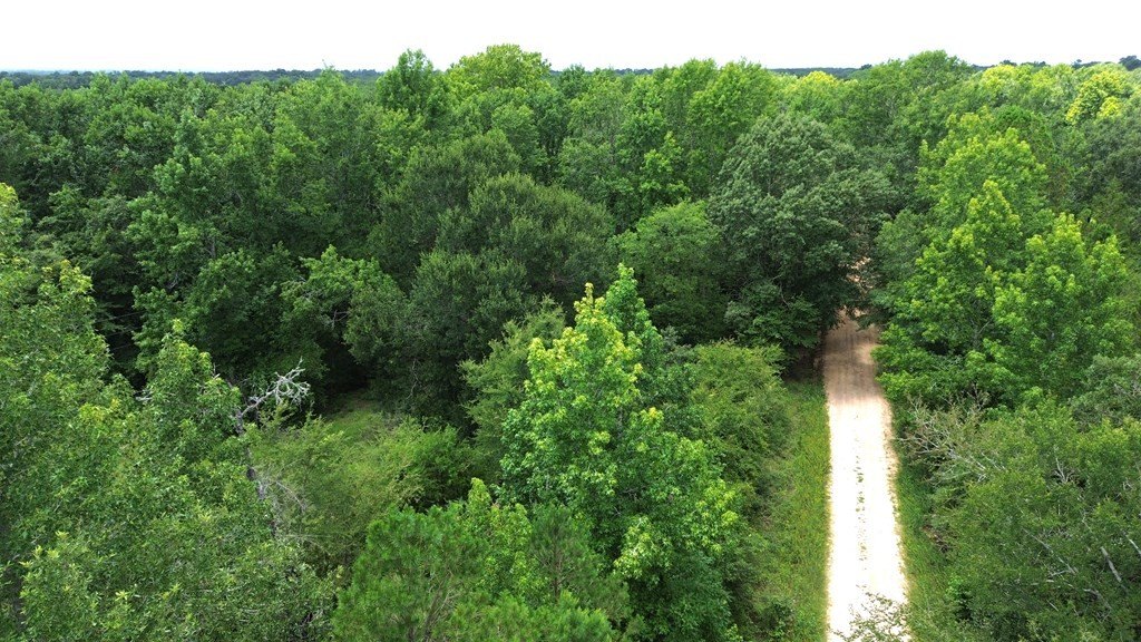 Picture 15