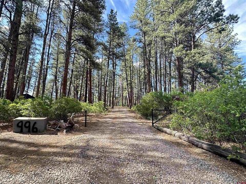LAND - Pagosa Springs, CO