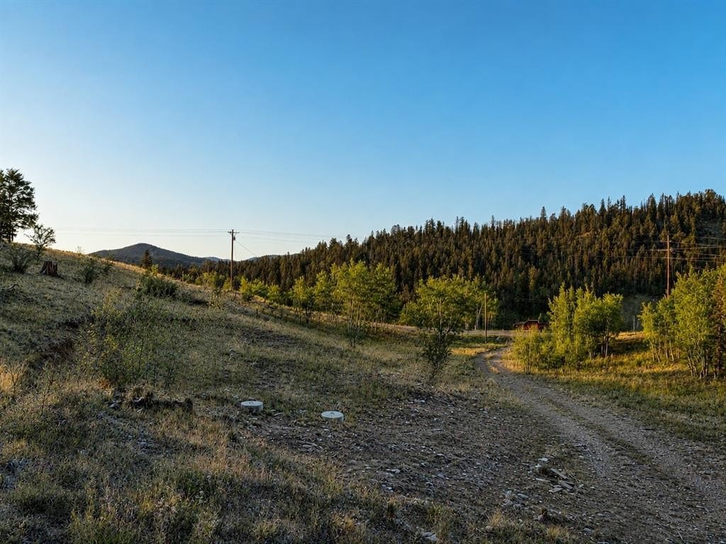 Picture 7