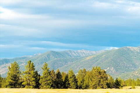 Land, Eureka, MT