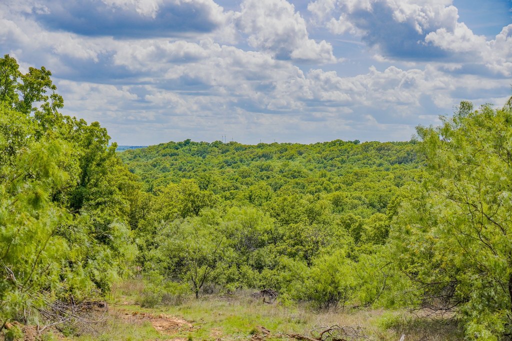 Picture 38
