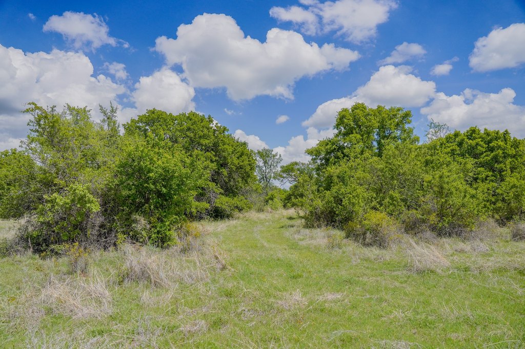 Picture 23