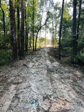 Lots & Land, GOSHEN, AL