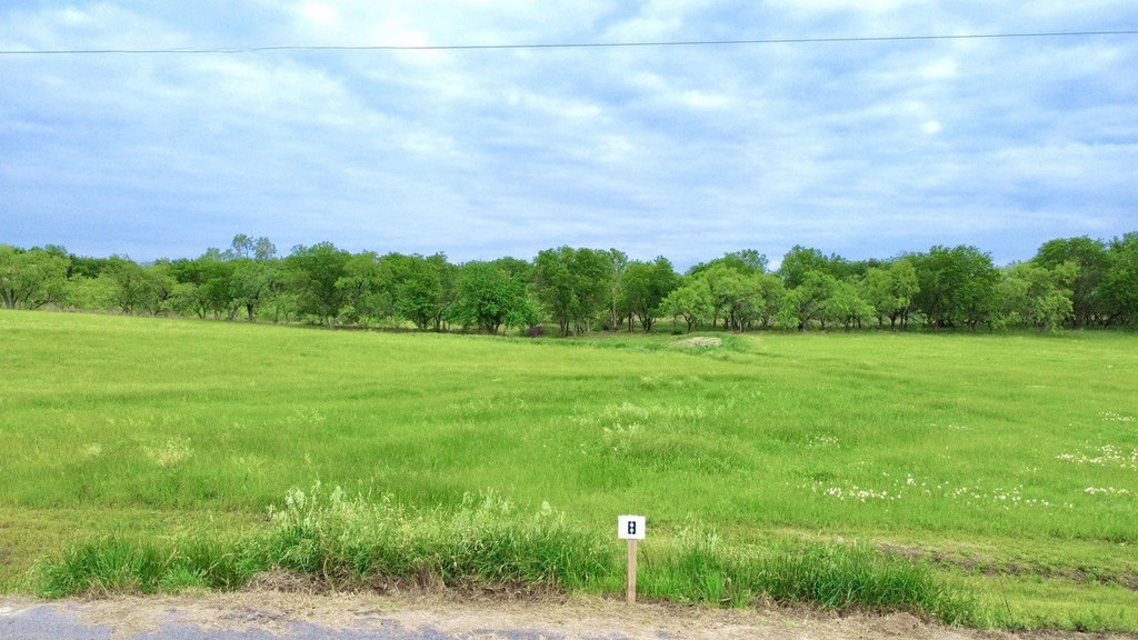 Picture 6